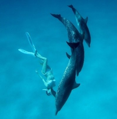 ドルフィンスイマー、写真家、水中モデル🐬鈴木あやの✨ 野生のイルカと見つめ合い泳ぐそれは至福の時😍 3児の母✨🐠Nauticam&小笠原諸島🐋アンバサダー📷日本写真家協会JPS正会員📖算数&数学講師✏️  「ソロモン流」「未来シアター」「深イイ話」など出演 日経ビジネス「2014日本の主役100人」に選出