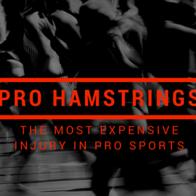 Pro Hamstrings Delivers The Best Online Resource For Hamstrings, Helping Sporting Organisations To Minimise Their Exposure To This Debilitating Injury.