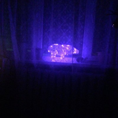 MgxYgH5JI1i4vI7's profile picture. 