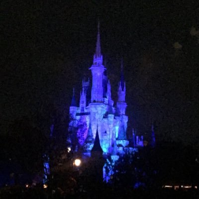 tracymenoni's profile picture. Affiliate of Academy Travel