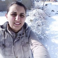 Ayşe Erol (@mayserol) 's Twitter Profile