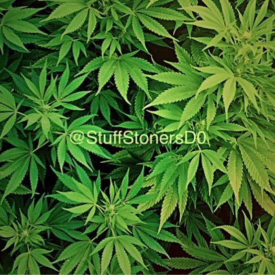 StuffStonersD0's profile picture. get stoned