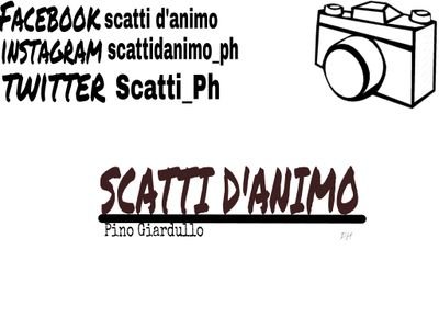 ScattiPh's profile picture. 