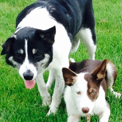 Mar00417706Nick's profile picture. 