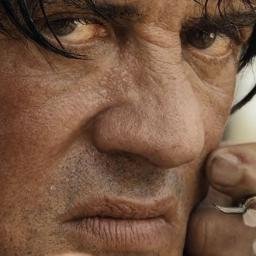 La dosis diaria de sylvester que necesitamos para levantar