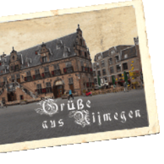 WDGdesign's profile picture. 