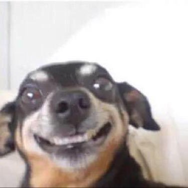 radliiaam's profile picture. i just like to RT shit :-)