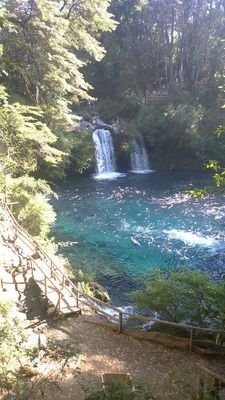 luna34057007's profile picture. 