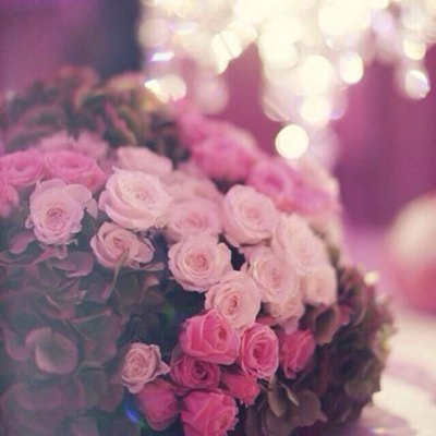 Deeeeda84's profile picture. قال ابن باز رحمه الله: من حفـظ وقتـه بـذكر الله وقراءة القـرآن وصحبة الأخيار والبعد عن صحبة الغافلين يطيب قلبـه ويلين. مجمـوع الفتـاوى ٥/٢٤٤