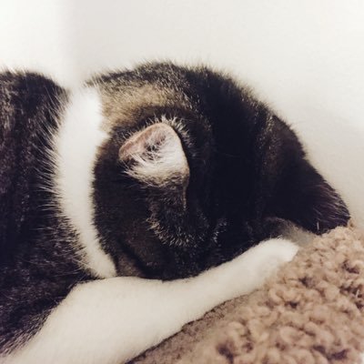 CanezC's profile picture. Every cloud has a silver lining