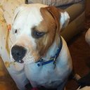 My Info Nancy cohen - @cohen_my - Twitter