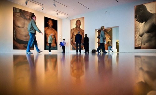 xam_noiram's profile picture. Taking Life By the Horns