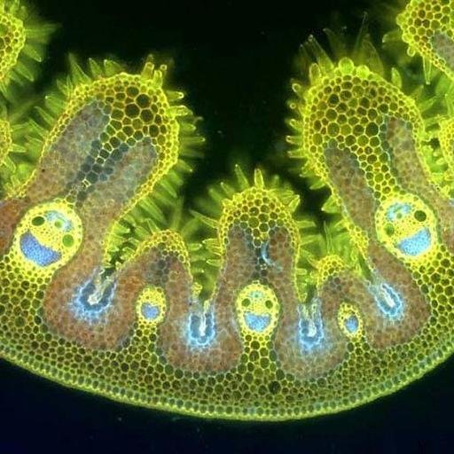 MyWealthPlatfrm's profile picture. 