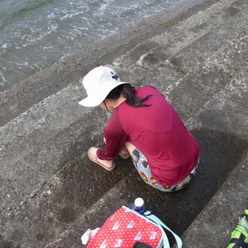 toramanma's profile picture. A cat's lover. I love dogs. Observe all living things. What should I do later this year？