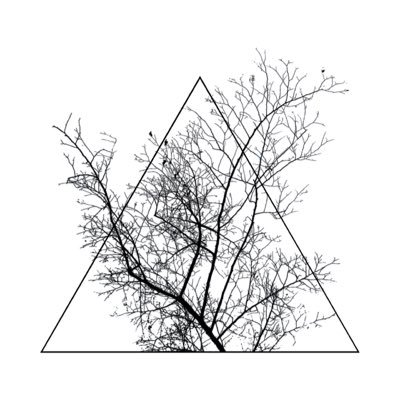 RashBlog's profile picture. 