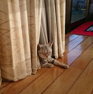サラリーマン
以理律己以情恕人