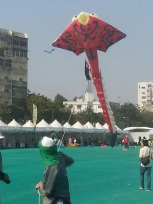 90ba9945f19644b's profile picture. business