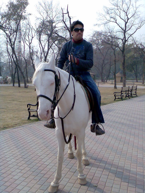 muzammilus's profile picture. 