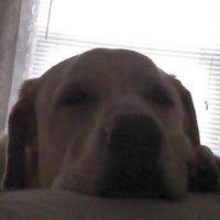 David Mills (@coachdavidmills) 's Twitter Profile