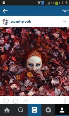 ahmedRomyo13's profile picture. romyo