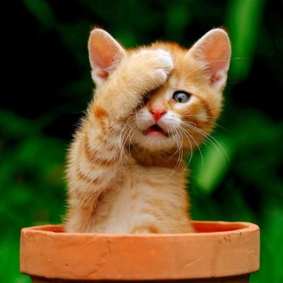 YousefWadAtta's profile picture. 