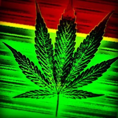 The highest event EVER in Cannabis #4days20hours