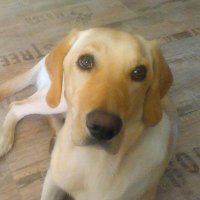 hulda e. (@huldave23) Twitter profile photo