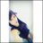 UnaCelosaMas_24's profile image