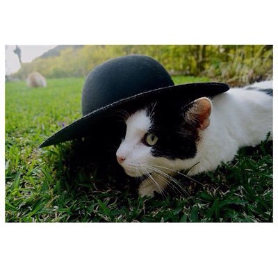 sonny2517's profile picture. 