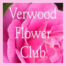 Verwood Flower Club bloomed into life in 1969. We meet at the Memorial Hall, Ringwood Road, Verwood on the first Tuesday of every month. Visitors welcome