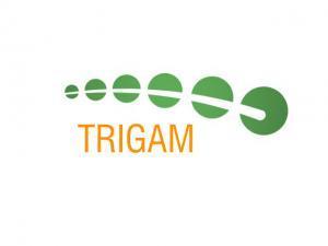 TrigamServices's profile picture. Marketing Call_Centre BPO Consulting Graphic_Design Web_Design Software_Development in the heart of the Baltics - Riga