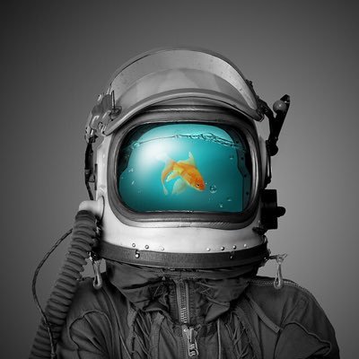 NKristofferse's profile picture. 