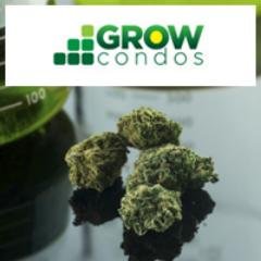 Providing turn key Real Estate, design and on going to support to the Marijuana Industry. Publicly traded under the symbol GRWC