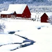 LitrentaMary's profile picture. 