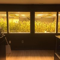 Herban Underground (@herbanundergrnd) 's Twitter Profile