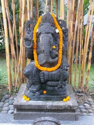 morador75's profile picture. 