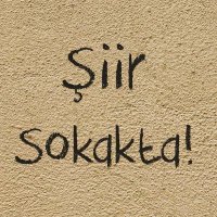 Siir Sokakta(@Siir_Sokaktadir) 's Twitter Profileg