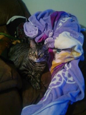 shadows_101's profile picture. 