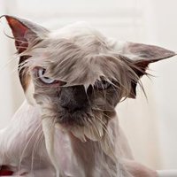 Stephen Wong (@winestephen) 's Twitter Profile Photo Stephen Wong (@winestephen) 's Twitter Profile Photo