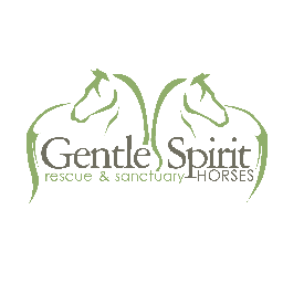 We are a 501(c)3 non-profit horse rescue located near Scotland, South Dakota. Facebook us: https://t.co/RyapmxwGng