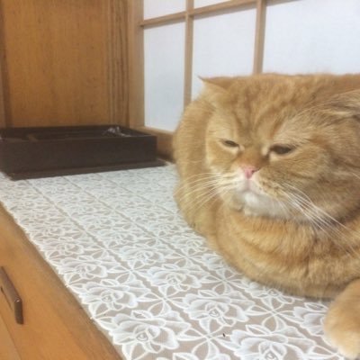 RockBb424's profile picture. 旅行/SES/azure/xterra/

Google memo
https://t.co/KnH2EzdFs6