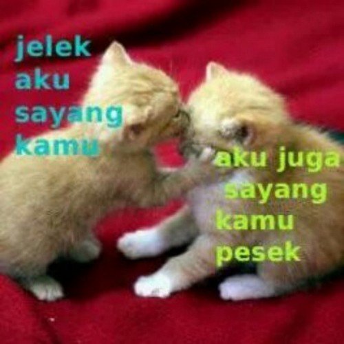 jumedicoke_medi's profile picture. 