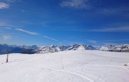 infotwitt3's profile picture. 