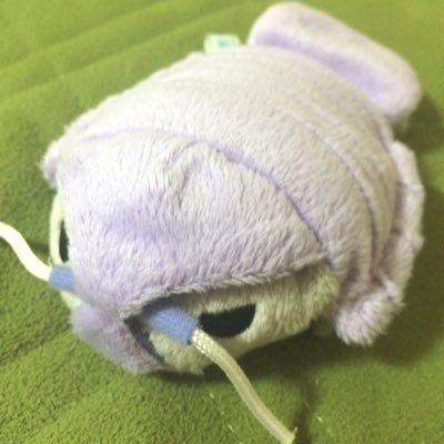 さなぎ蒼（ash#）@G.T.Pさんのプロフィール画像