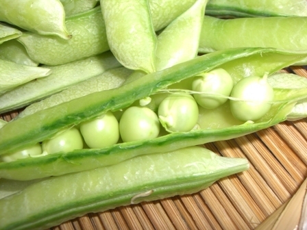 sugatabi's profile picture. 