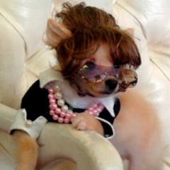 cellbitmacumba's profile picture. 