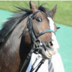 2ch まとめ 競馬