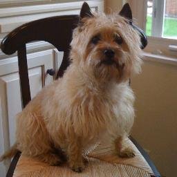 DonCrankshaw's profile picture. Starting the consulting life; HR, recruiting, EDI, emp benefits, libraries. “Now, Voyager, sail thou forth, to seek and find.” - Whitman