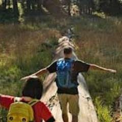 webpromotions08's profile picture. 