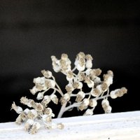 Dynamo (@dynamo) Twitter profile photo